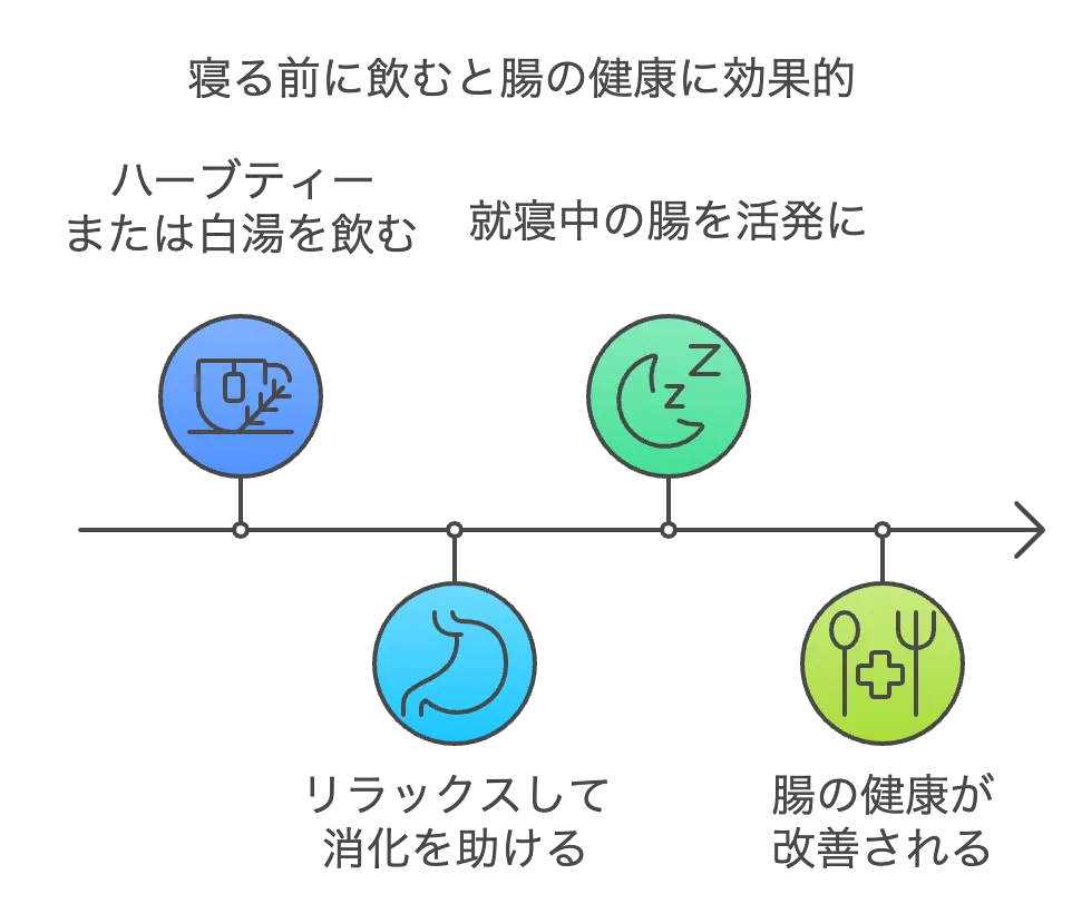 寝る前に飲むと腸の健康に効果的